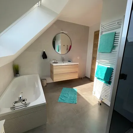Le De L Ill Proche Strasbourg Holiday home *