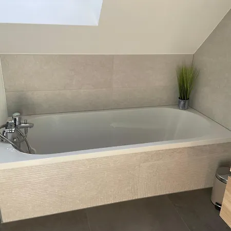 Holiday home Le De L Ill Proche Strasbourg *