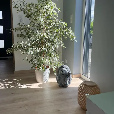Le De L Ill Proche Strasbourg Ostwald